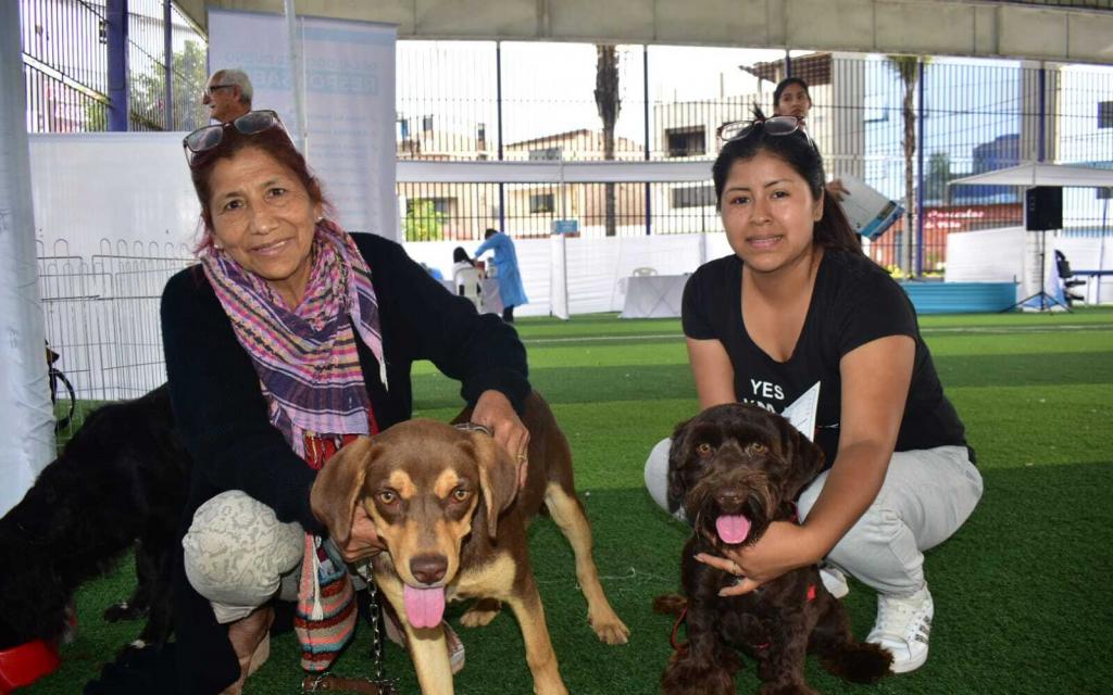 Vecinos y sus mascotas