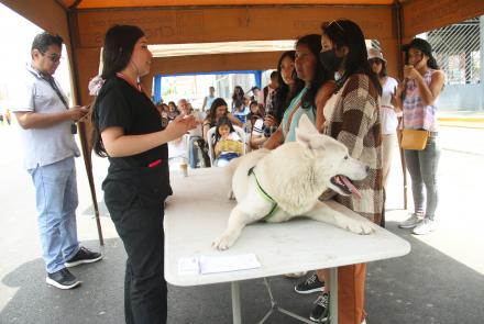  CHORRIFEST PET’S: Municipalidad de Chorrillos organizó Feria para Mascotas 