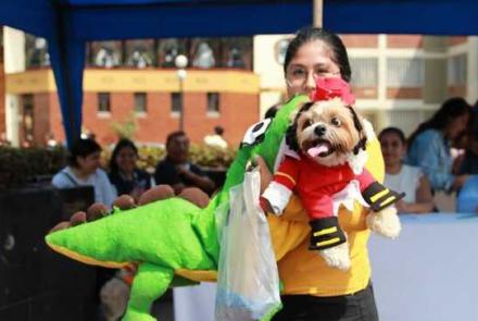 'Chavo' flamante ganador del concurso de disfraces de mascotas 'Chorripatitas'